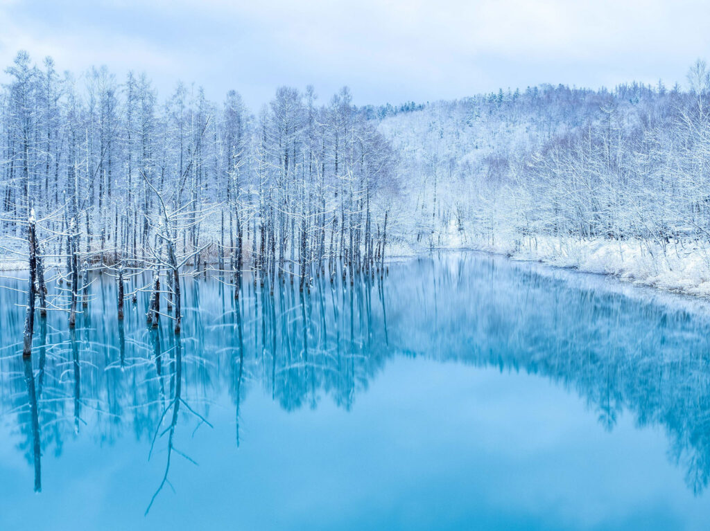 上富良野 2026年新築物件