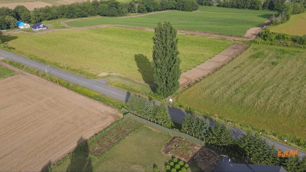 Aerial view of Biei's famous Ken & Mary Tree and adjacent resort development land in Hokkaido