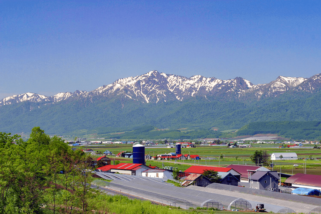 從北海道富良野市布部遠眺的蘆別岳與田園風光,適合開發三溫暖度假民宿與不動產投資。