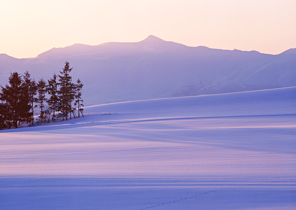 晨曦照耀雪原與山脈的富良野布部冬景,適合打造三溫暖與度假民宿銷售據點。